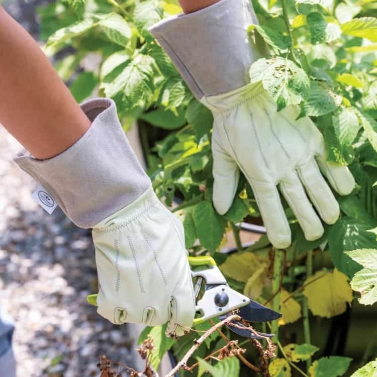 Skin-Friendly Silicone Upholstery Material for Gloves