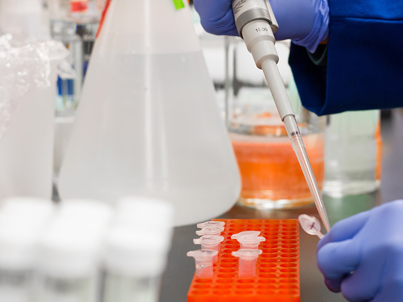 silicone leather material 12 Laboratory testing process for silicone leather material quality control